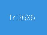 Tr 36X6 